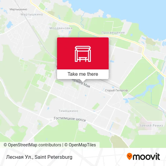 Лесная Ул. map