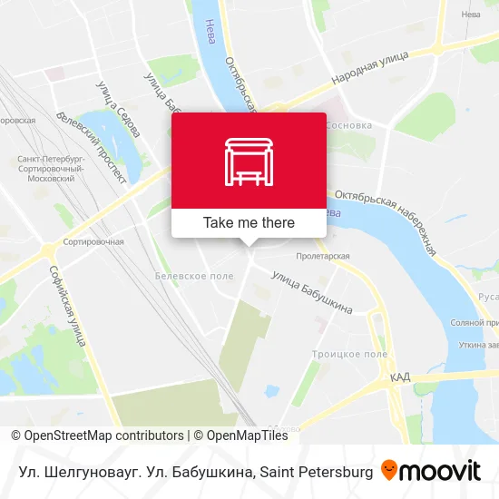 Ул. Шелгуновауг. Ул. Бабушкина map