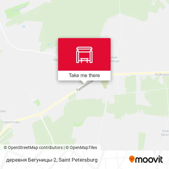 деревня Бегуницы-2 map