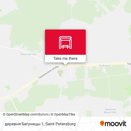 деревня Бегуницы-1 map