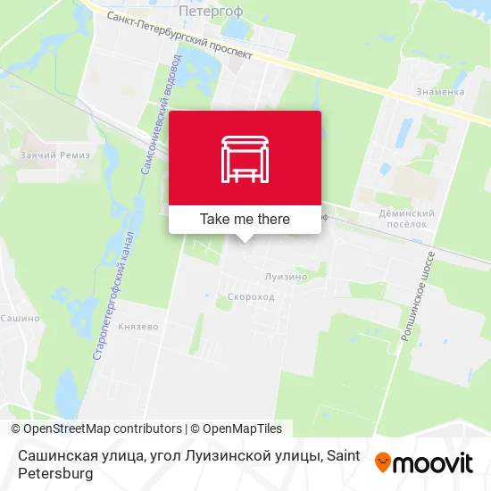 Сашинская улица, угол Луизинской улицы map
