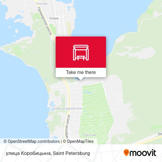 улица Коробицына map