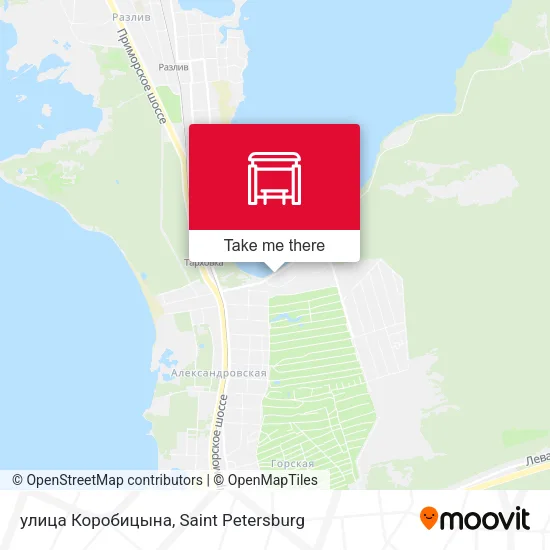 улица Коробицына map