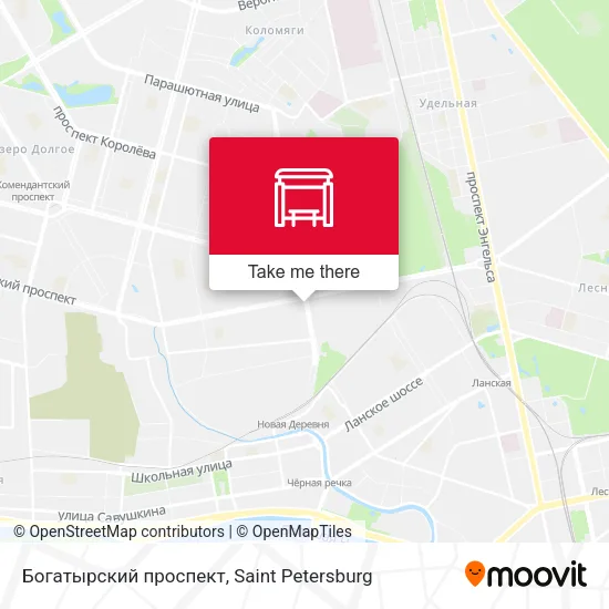 Богатырский проспект map