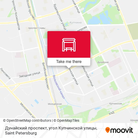 Дунайский проспект, угол Купчинской улицы map