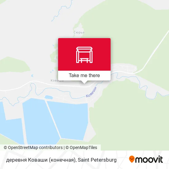 деревня Коваши (конечная) map
