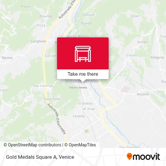 Gold Medals Square A map