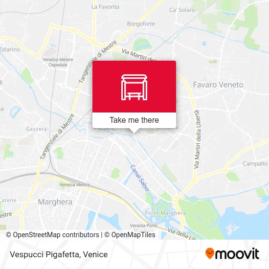 Vespucci Pigafetta map