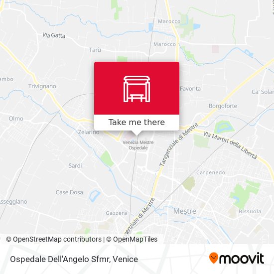 Ospedale Dell'Angelo Sfmr map