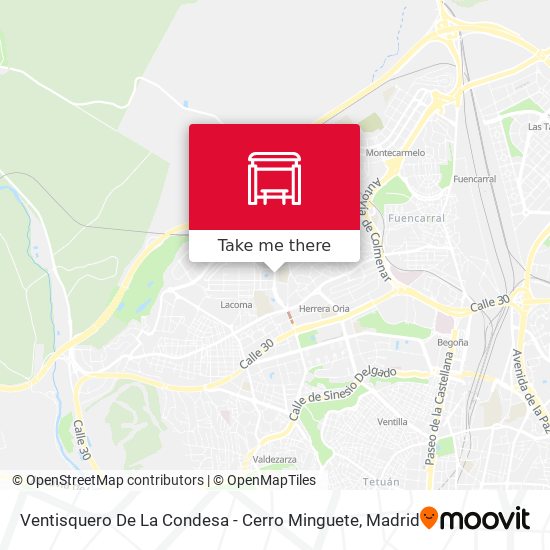 Ventisquero De La Condesa - Cerro Minguete map