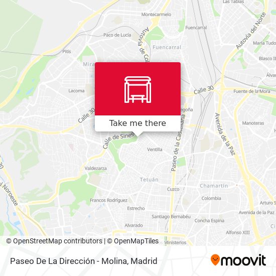 Paseo De La Dirección - Molina map