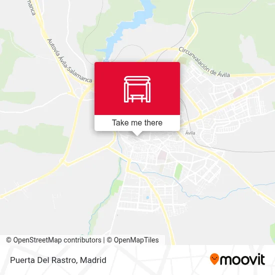 Puerta Del Rastro map
