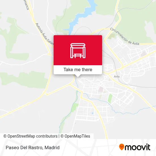 Paseo Del Rastro map