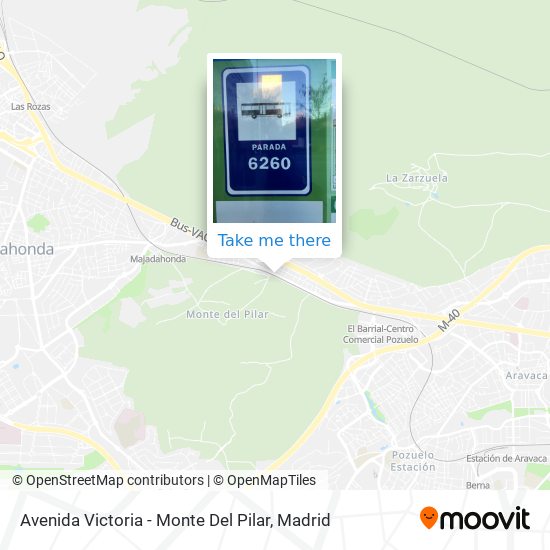 Avenida Victoria - Monte Del Pilar map