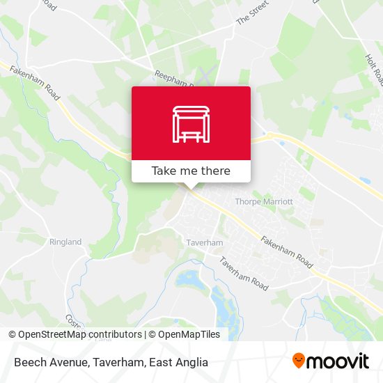 Beech Avenue, Taverham map