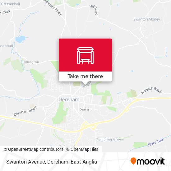 Swanton Avenue, Dereham map