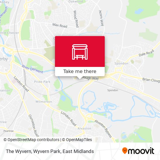 The Wyvern, Wyvern Park map