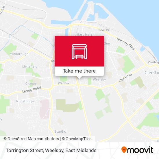 Torrington Street, Weelsby map