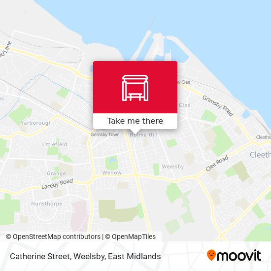 Catherine Street, Weelsby map