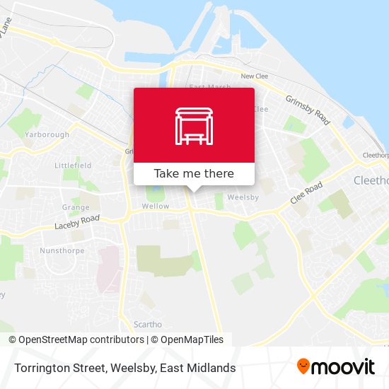 Torrington Street, Weelsby map
