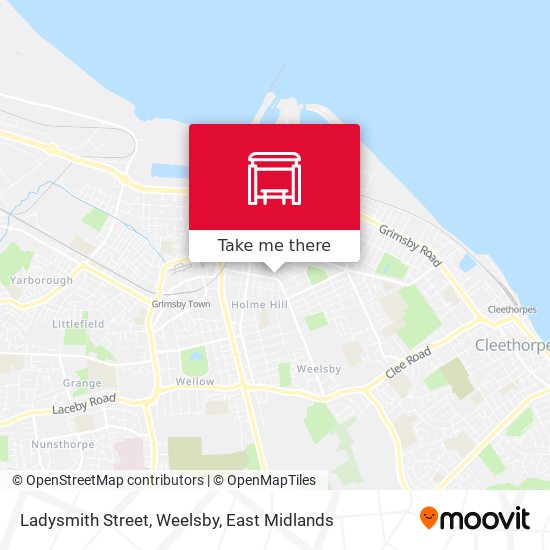 Ladysmith Street, Weelsby map