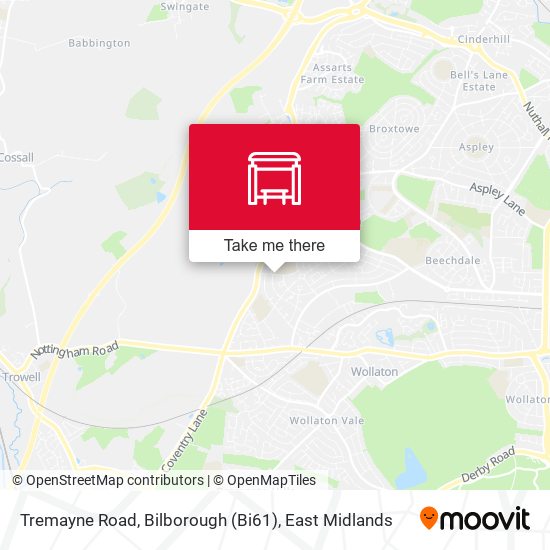 Tremayne Road, Bilborough (Bi61) map
