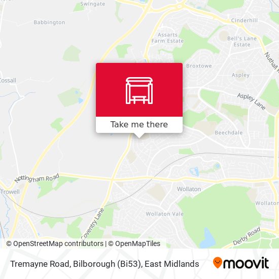 Tremayne Road, Bilborough (Bi53) map