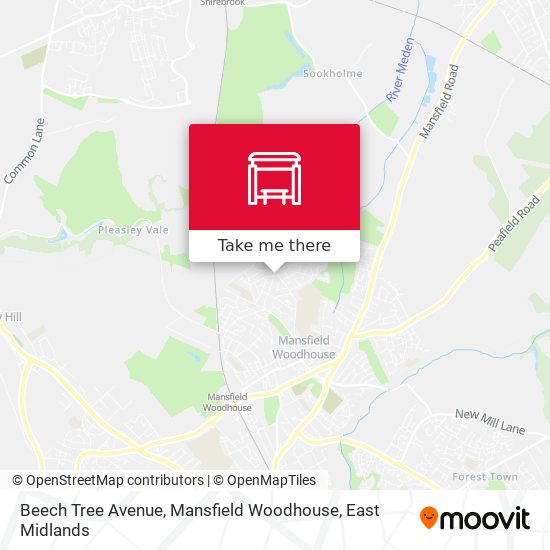 Beech Tree Avenue, Mansfield Woodhouse map