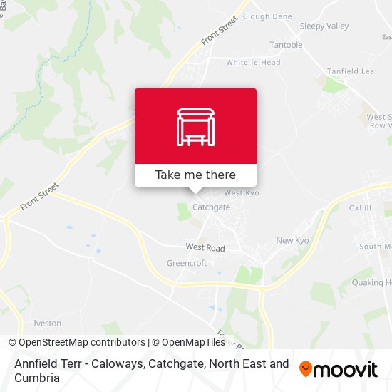 Annfield Terr - Caloways, Catchgate map