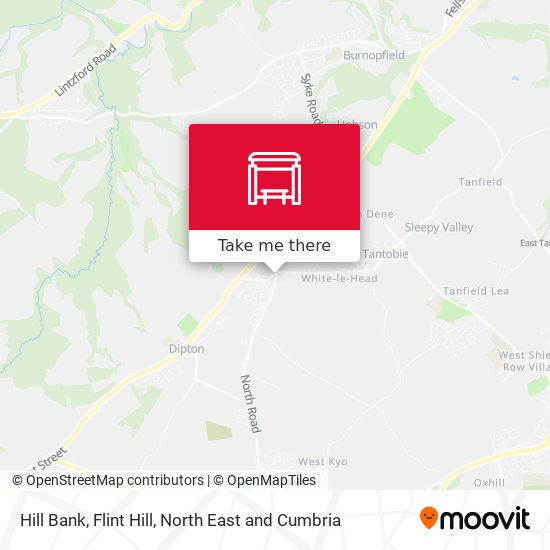 Hill Bank, Flint Hill map