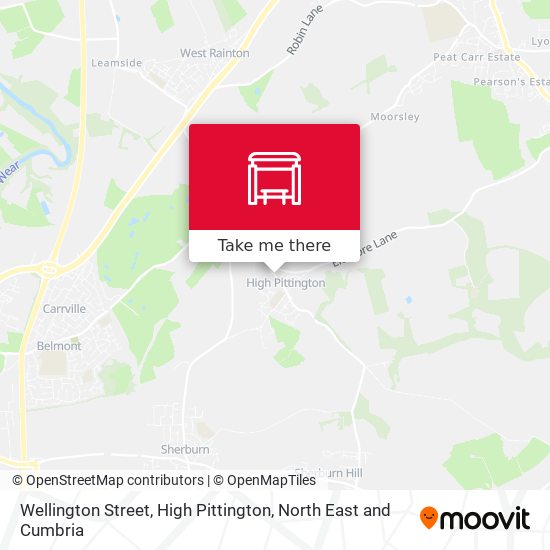 Wellington Street, High Pittington map