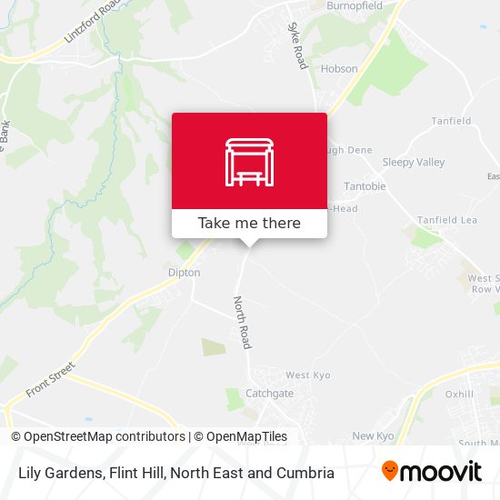 Lily Gardens, Flint Hill map