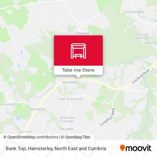 Bank Top, Hamsterley map