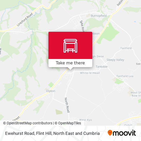 Ewehurst Road, Flint Hill map