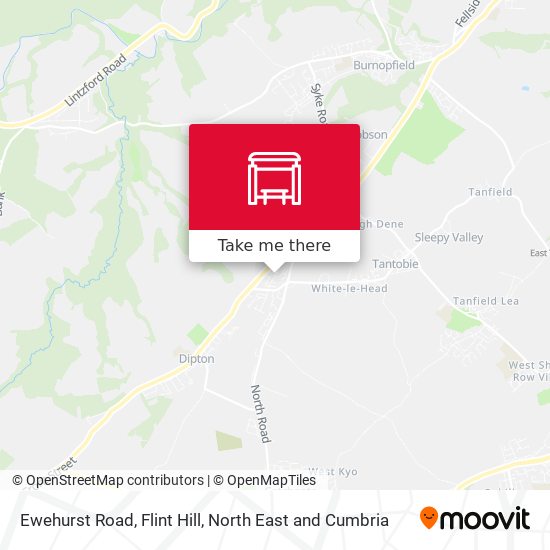 Ewehurst Road, Flint Hill map