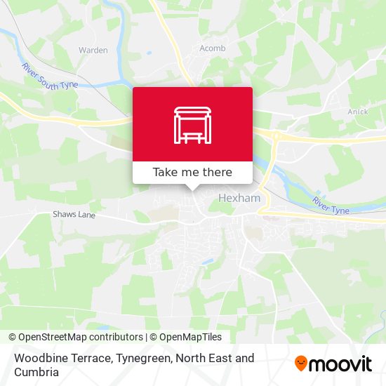 Woodbine Terrace, Tynegreen map