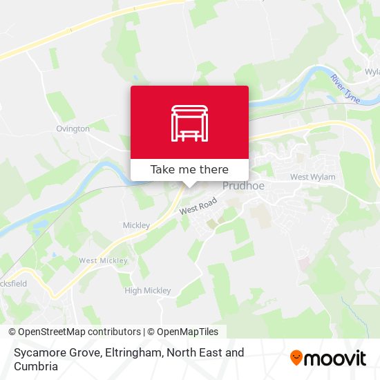 Sycamore Grove, Eltringham map