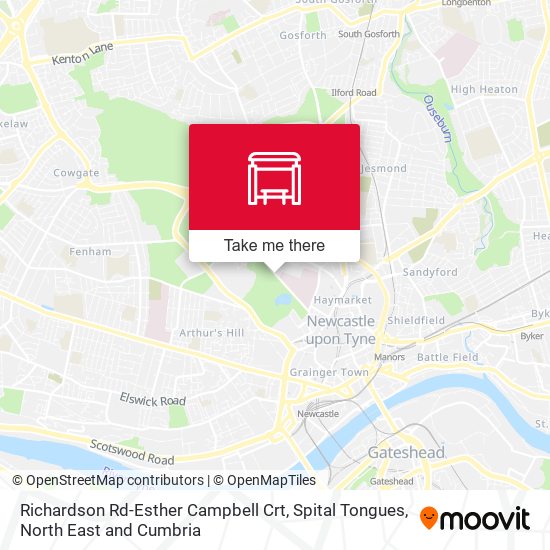 Richardson Rd-Esther Campbell Crt, Spital Tongues map