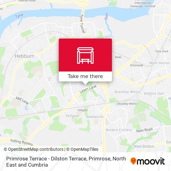 Primrose Terrace - Dilston Terrace, Primrose map