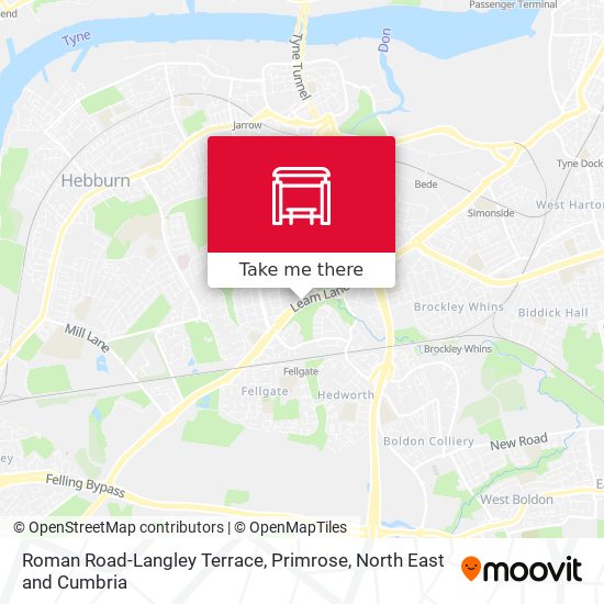 Roman Road-Langley Terrace, Primrose map