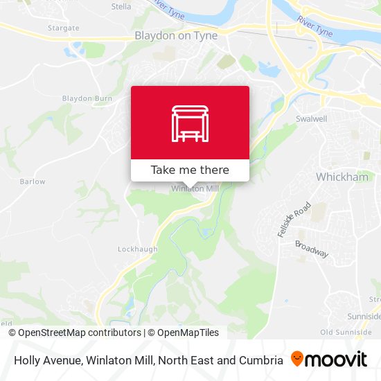 Holly Avenue, Winlaton Mill map