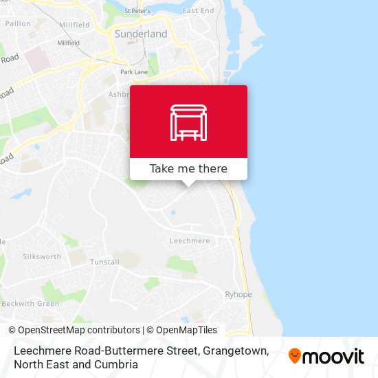 Leechmere Road-Buttermere Street, Grangetown map