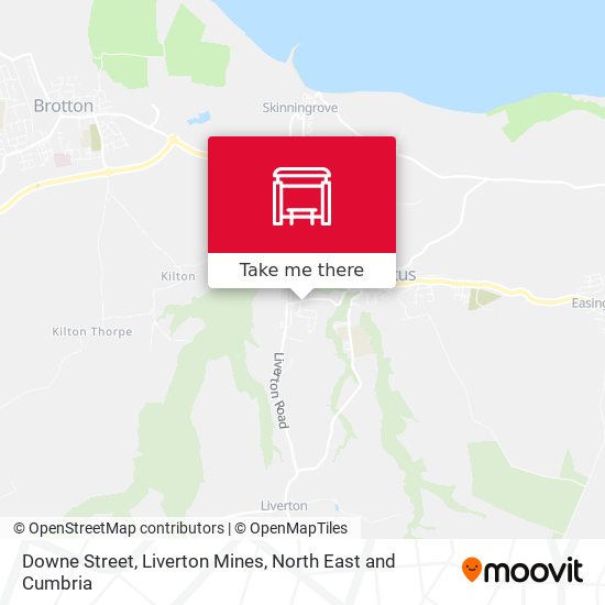 Downe Street, Liverton Mines map