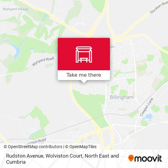 Rudston Avenue, Wolviston Court map
