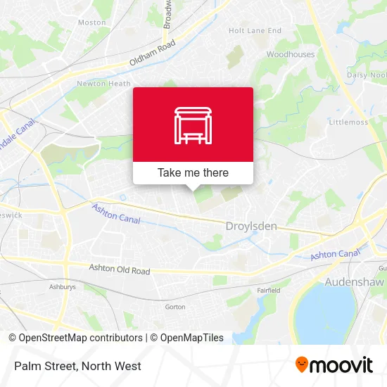 Palm Street map