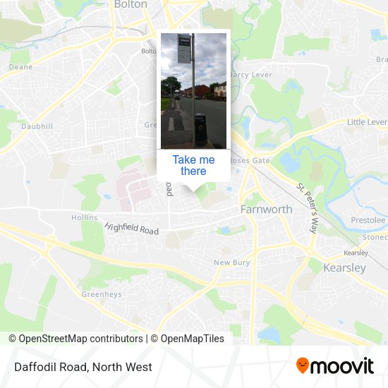 Daffodil Road map