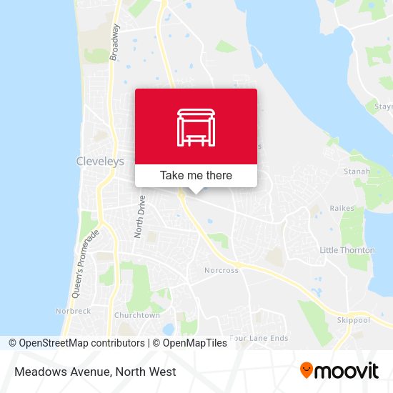 Meadows Avenue map