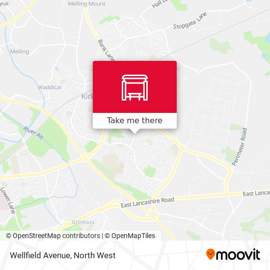 Wellfield Avenue map