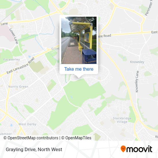 Grayling Drive map