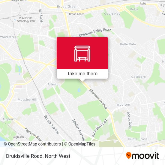 Druidsville Road map